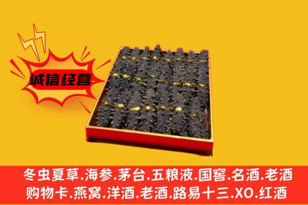 济宁市回收海参